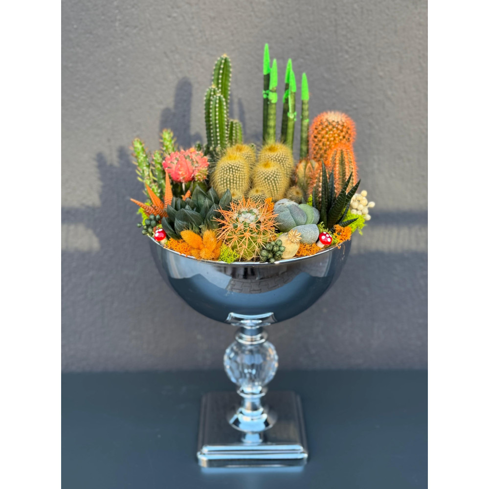 ÖZEL LÜX CANLI TERARYUM